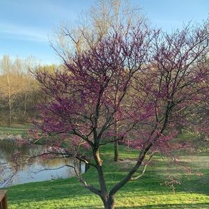 Meet your Posher, Janel